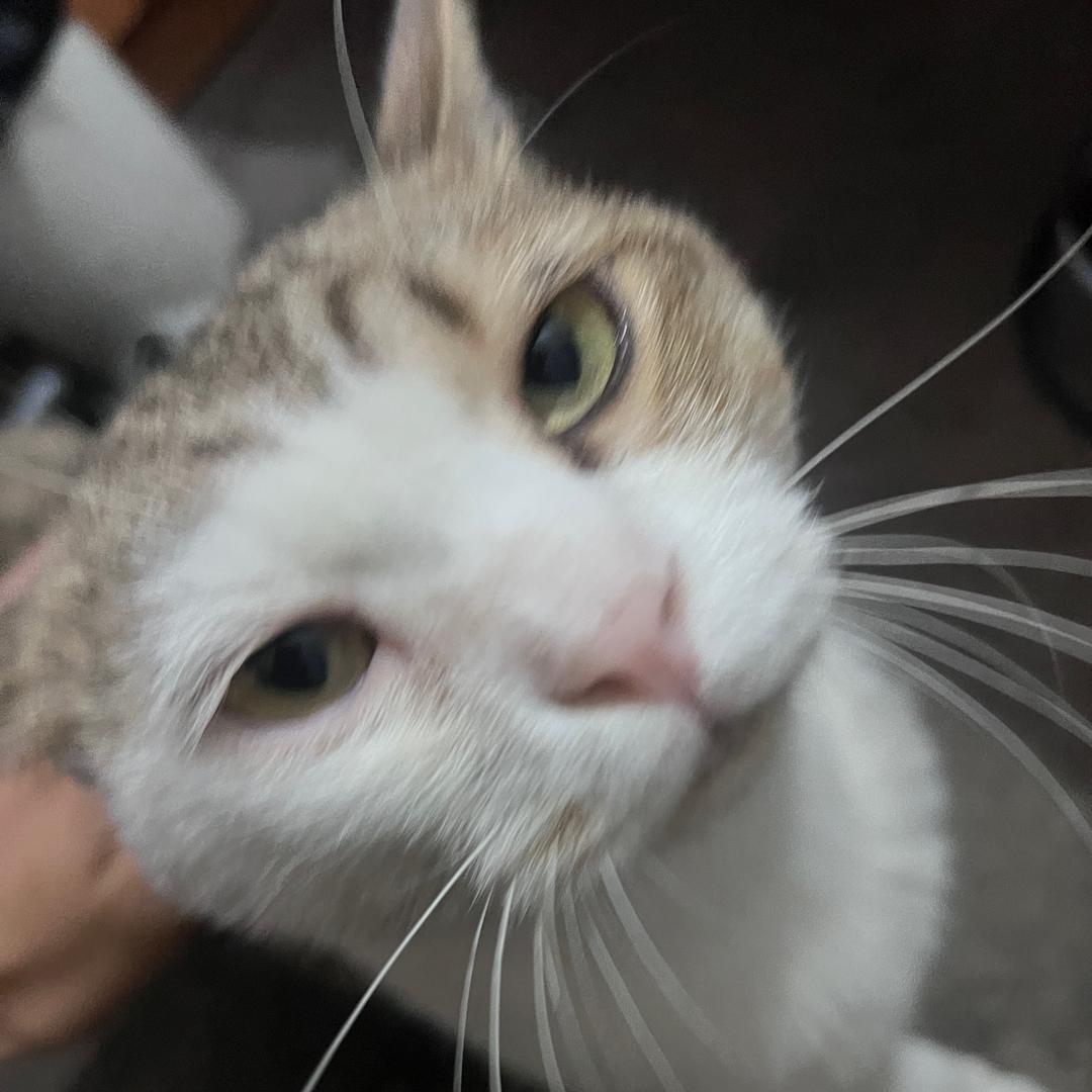 杰瑞