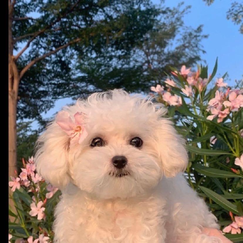 爱吃西瓜不吃皮