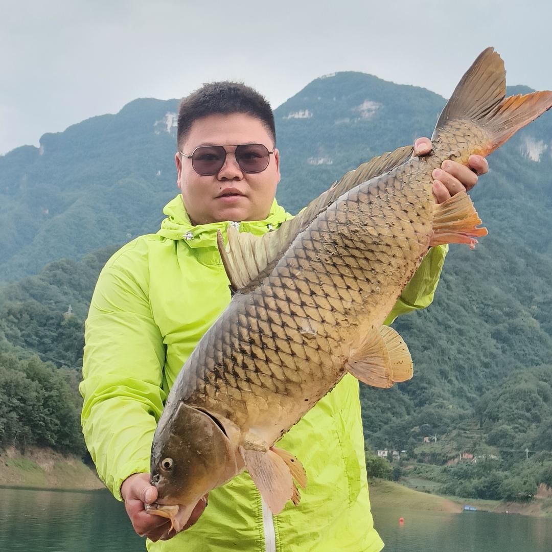 阿凯钓鱼🎣
