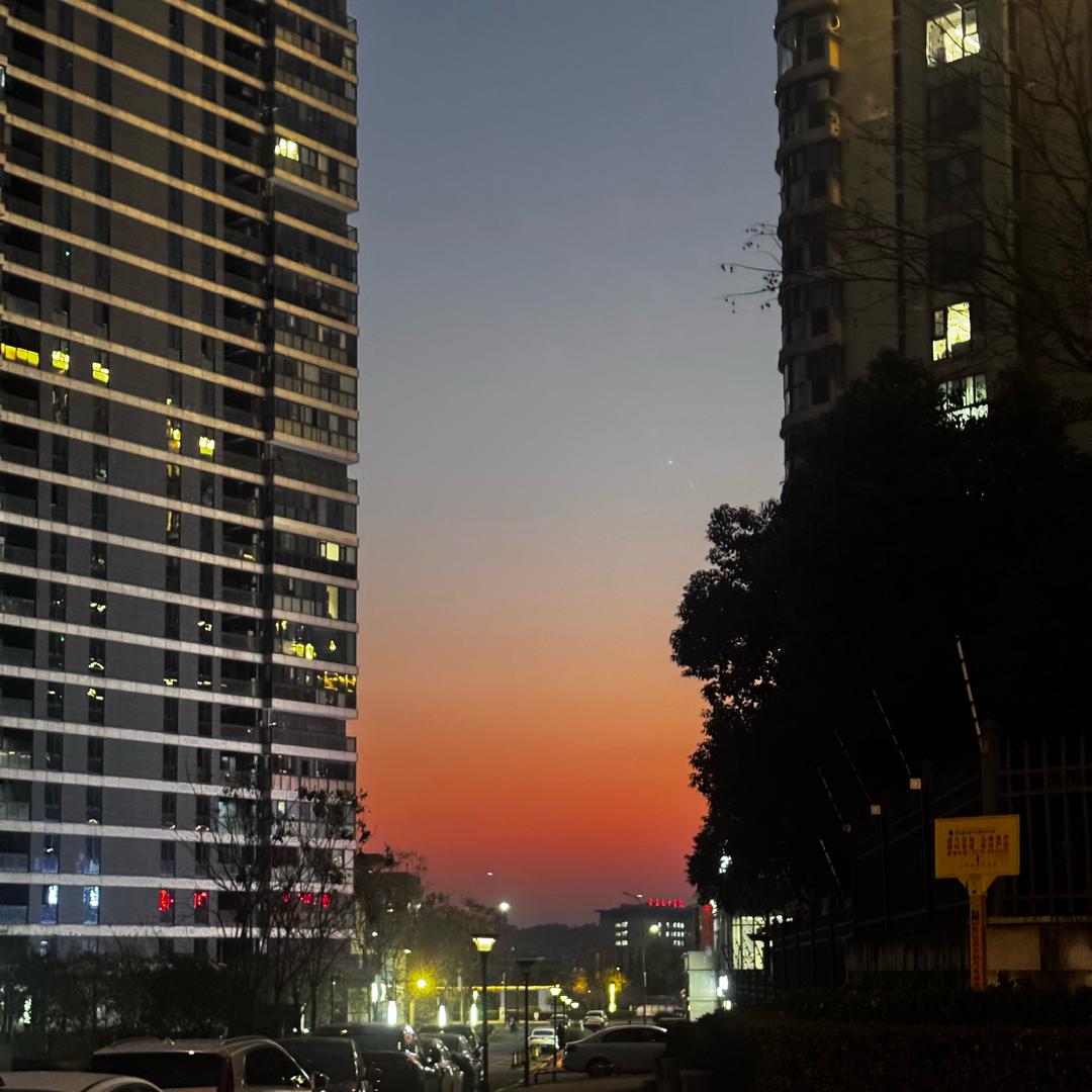 Z🐷（考研版）