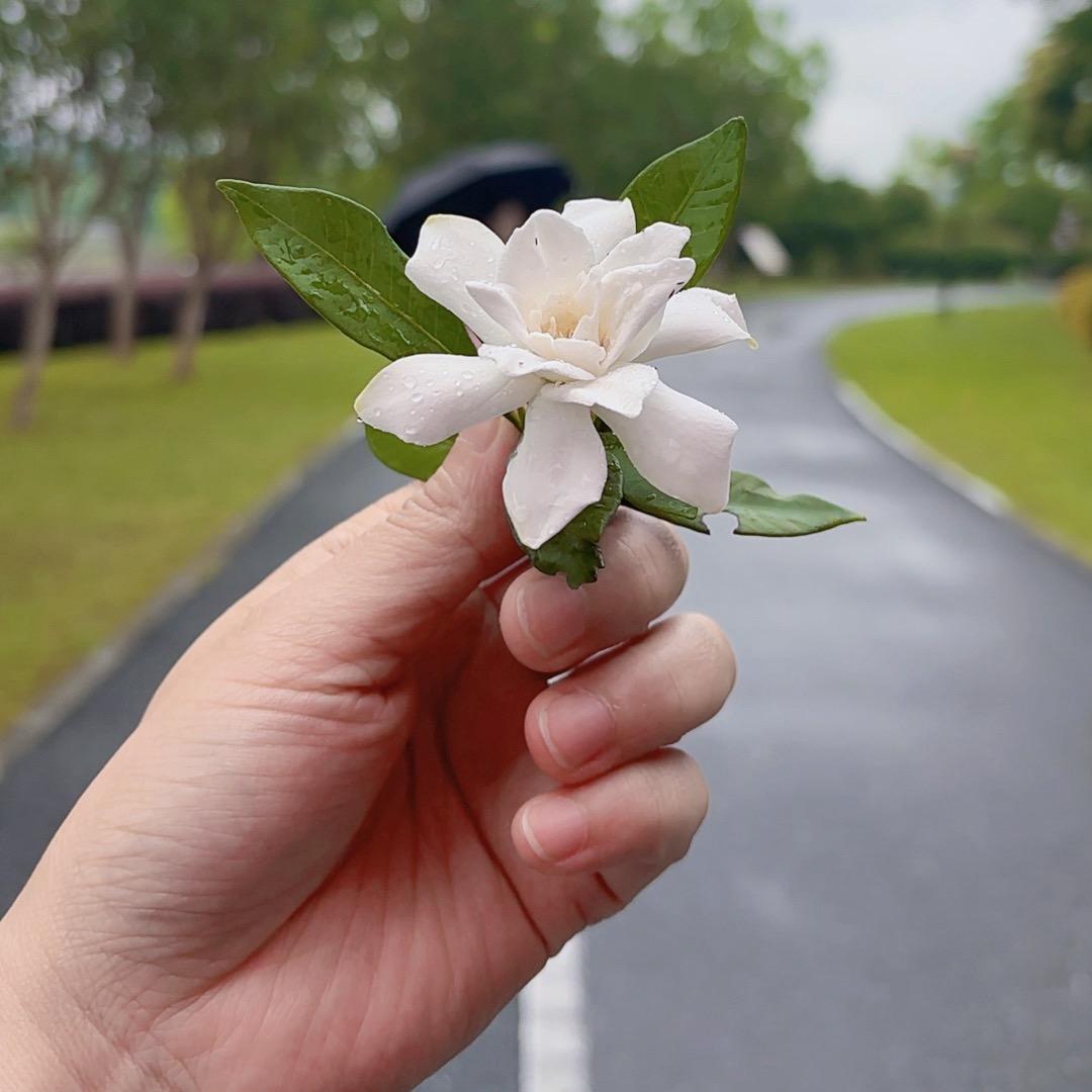 🌈💕未来🌺🍀