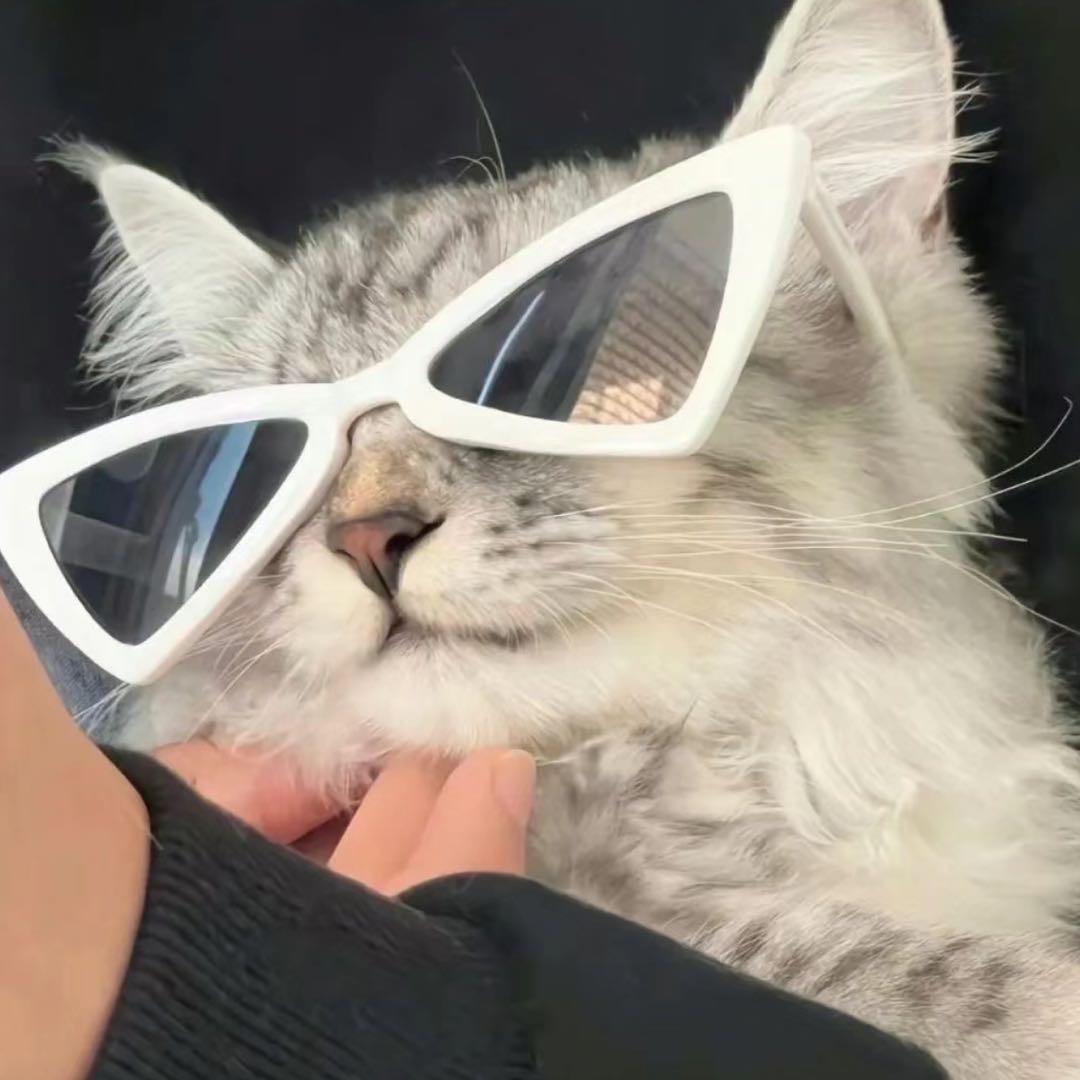 这可有的说了