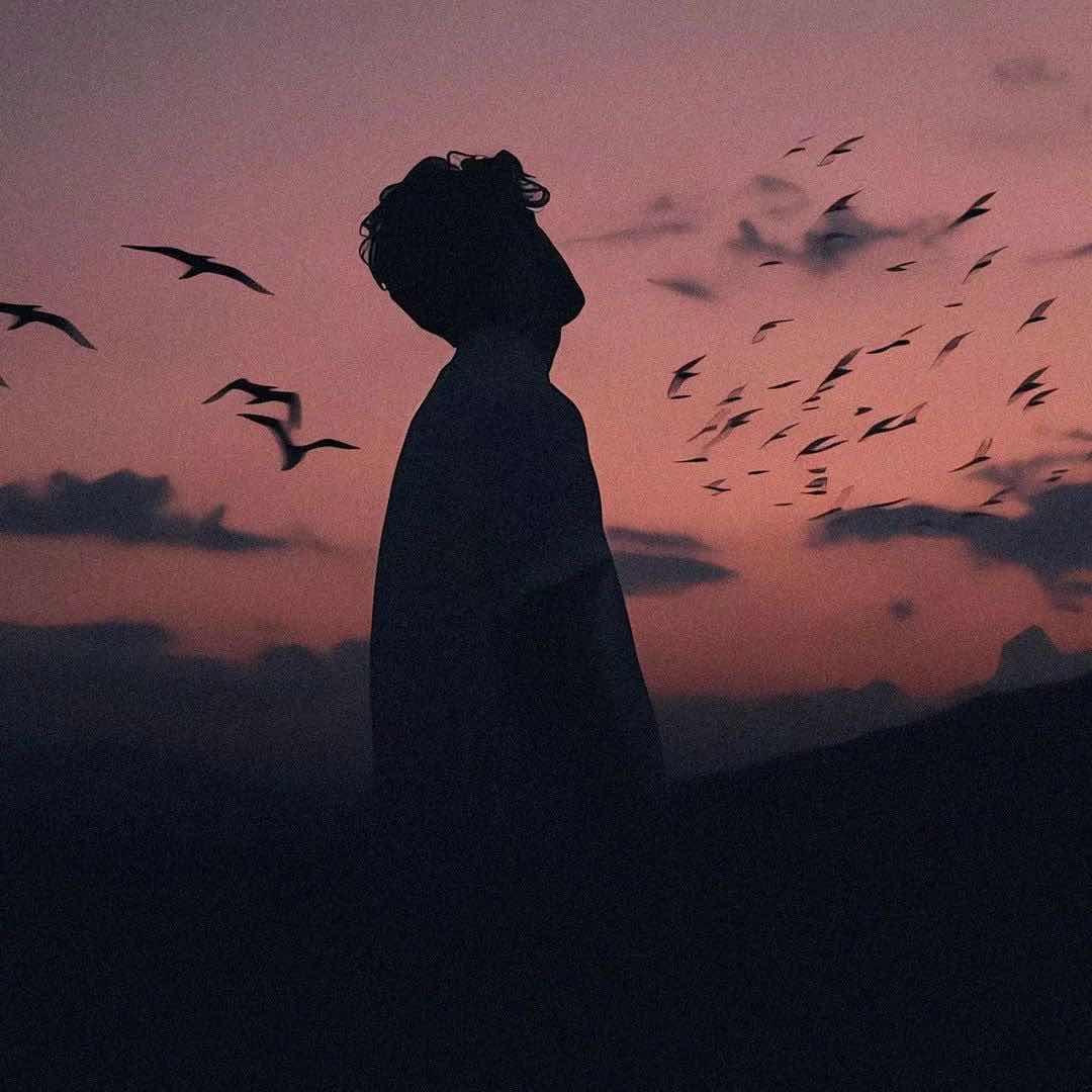 ꪖᥴᥴꪮꪑρꪖꪀꪗ