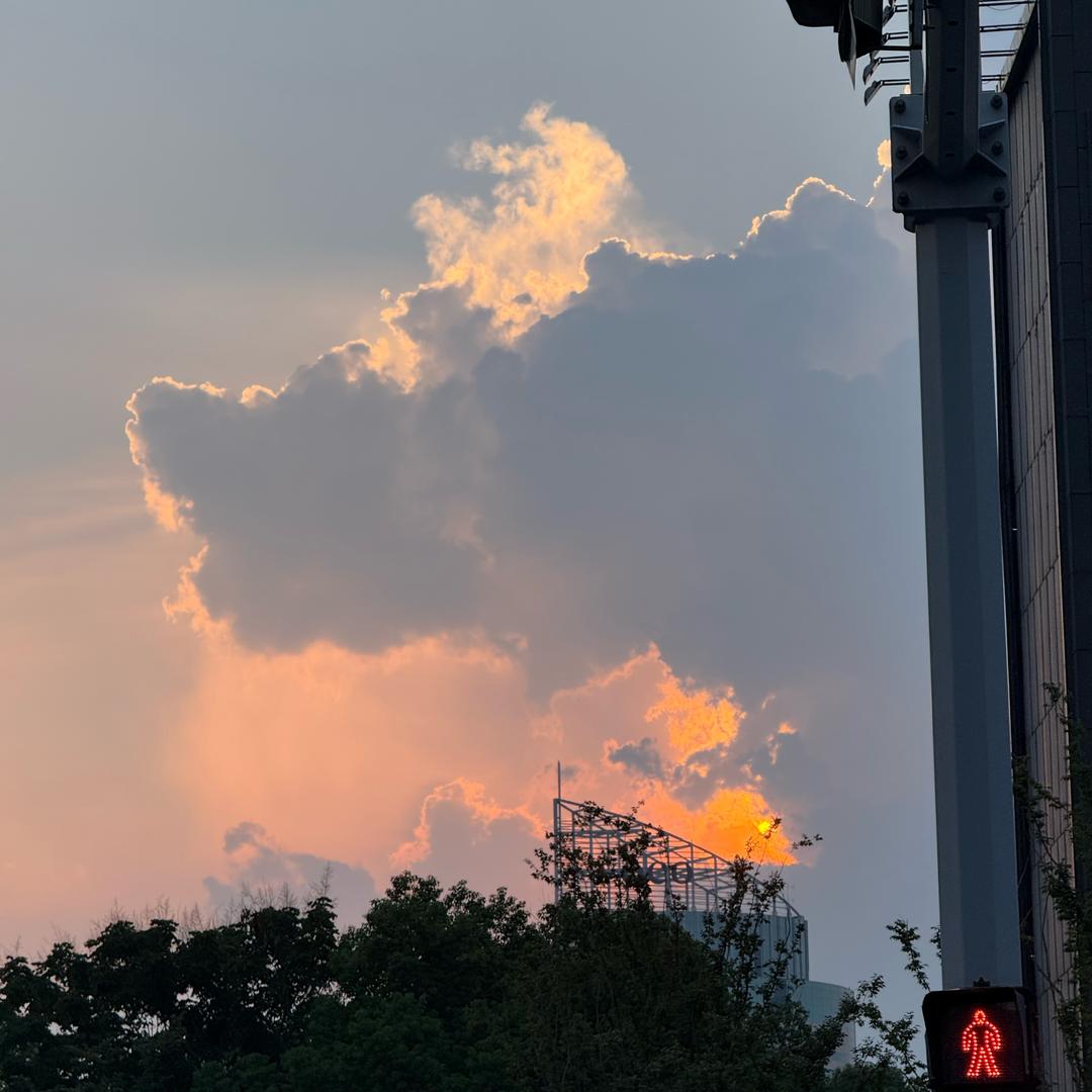 章鱼哥🐙玩旅游