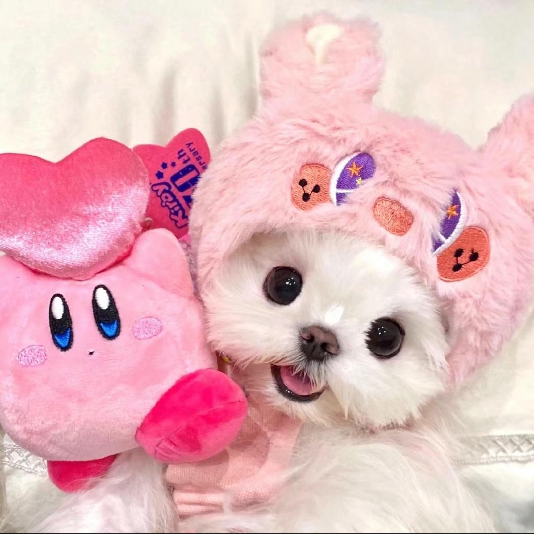 南在南方夏季凉鞋