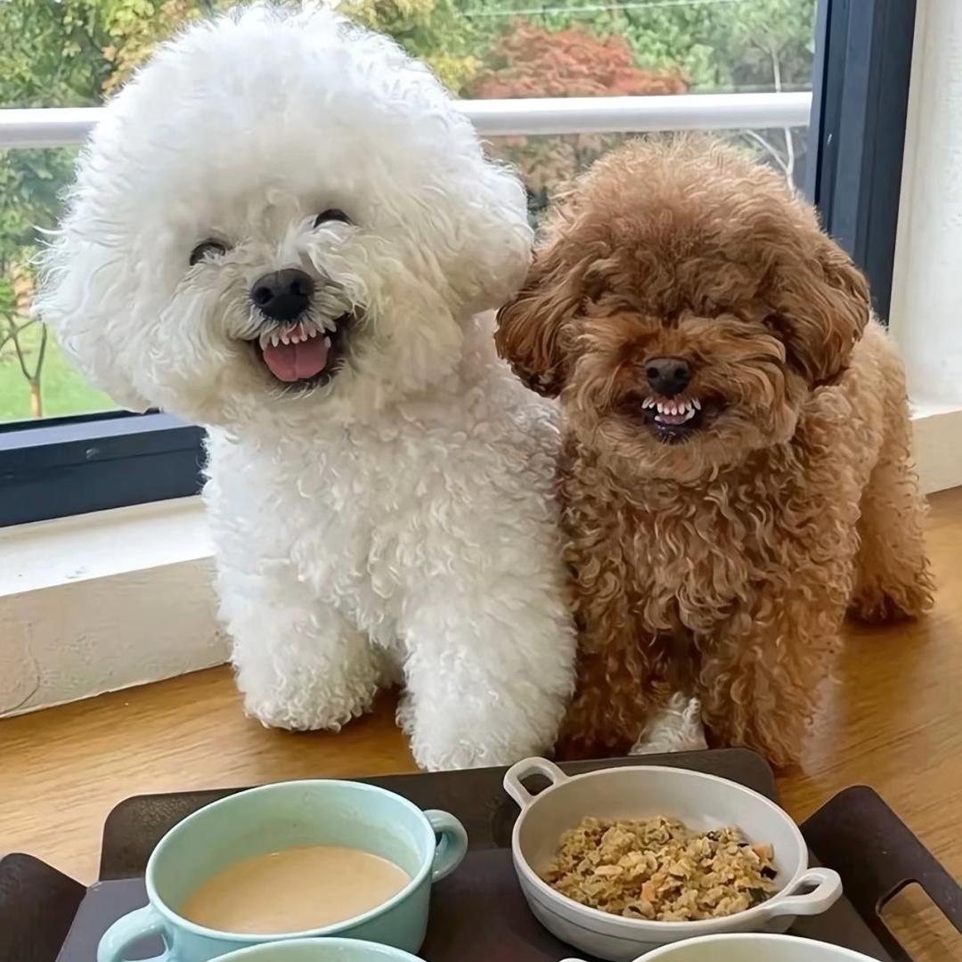 萌萌宝贝2️⃣