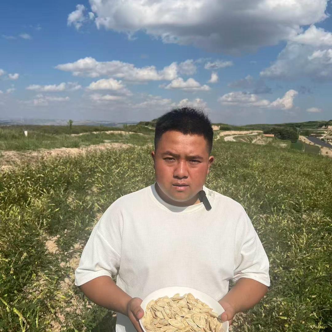 陇西县黄芪
