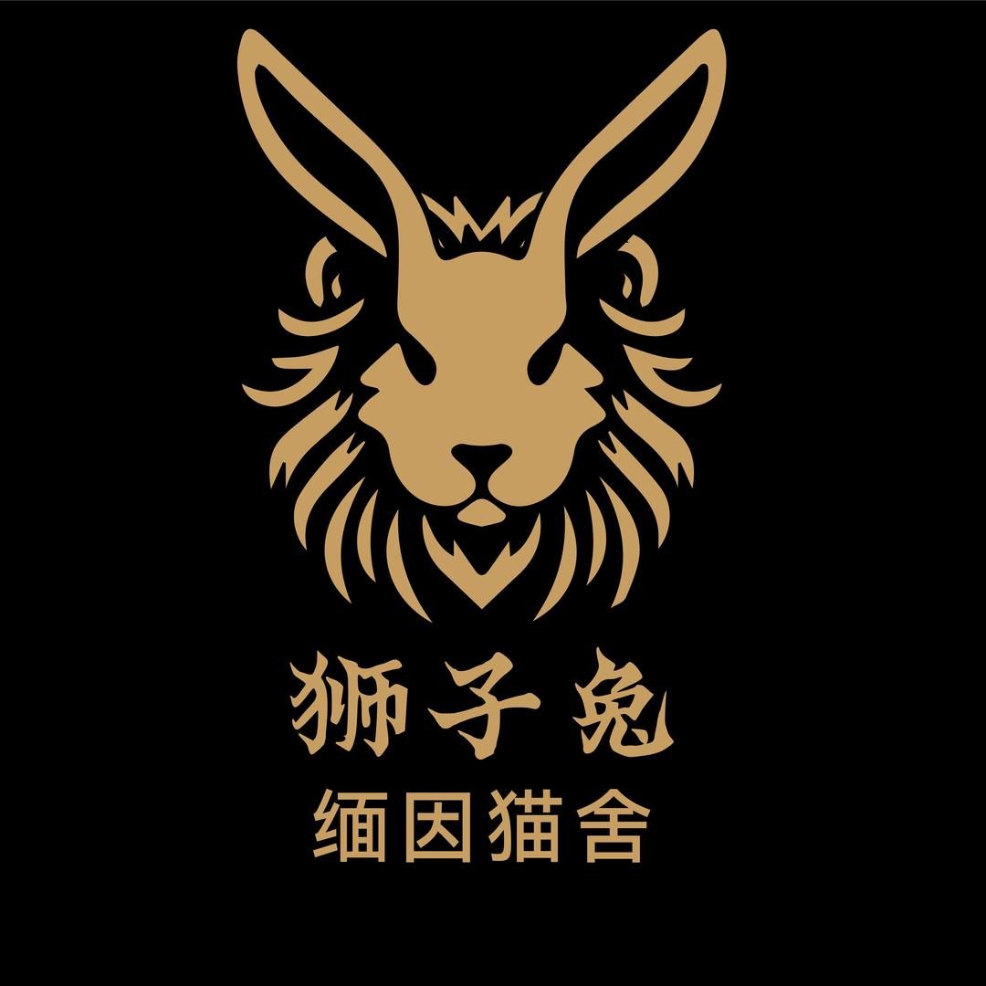 狮子兔缅因猫舍 | 猫咖