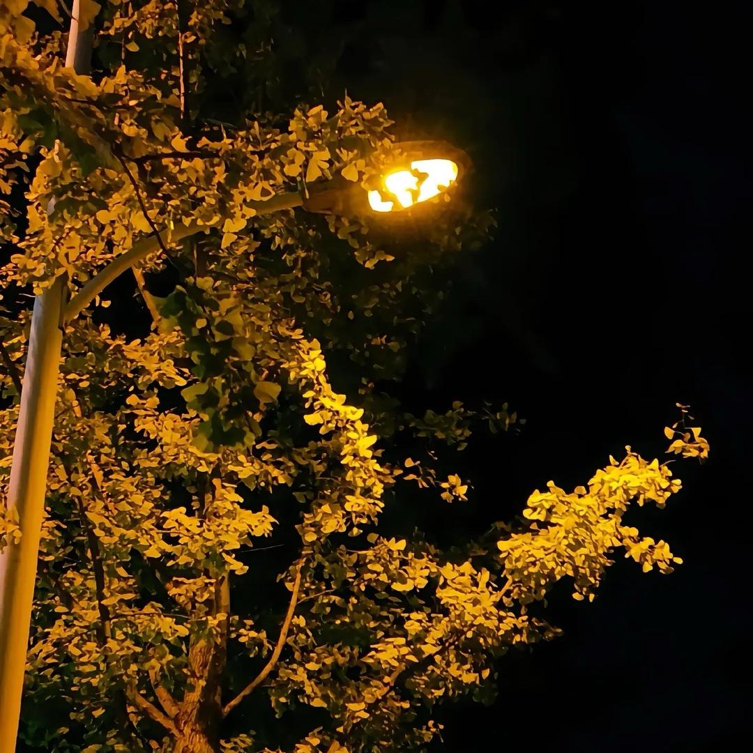 欭惗