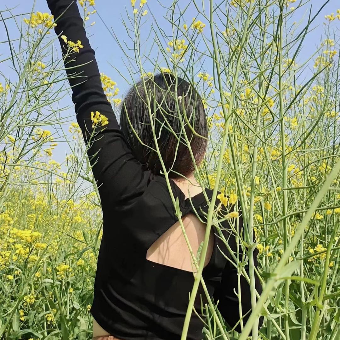 人生若只如初见