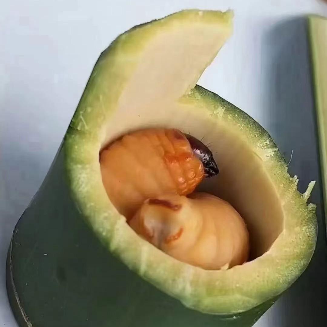 六盘水市六枝特区新场鼎晟竹虫养殖场（个体工商户）