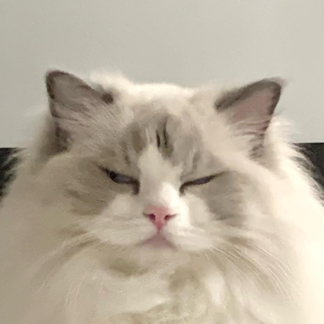 蕾蕾leilalei@抖音