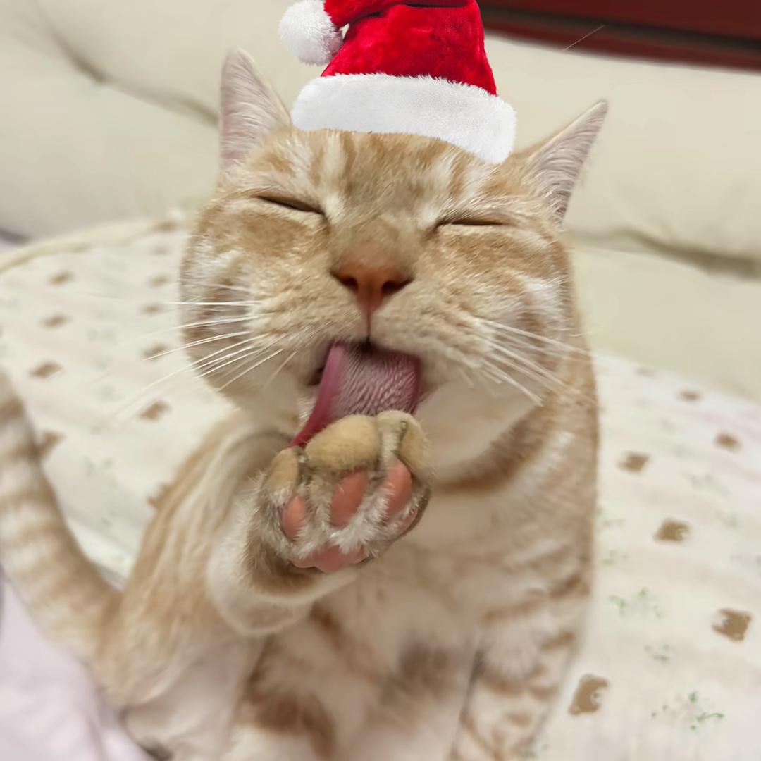 我糙这世界为什么这么坏