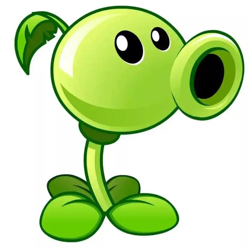 L_
