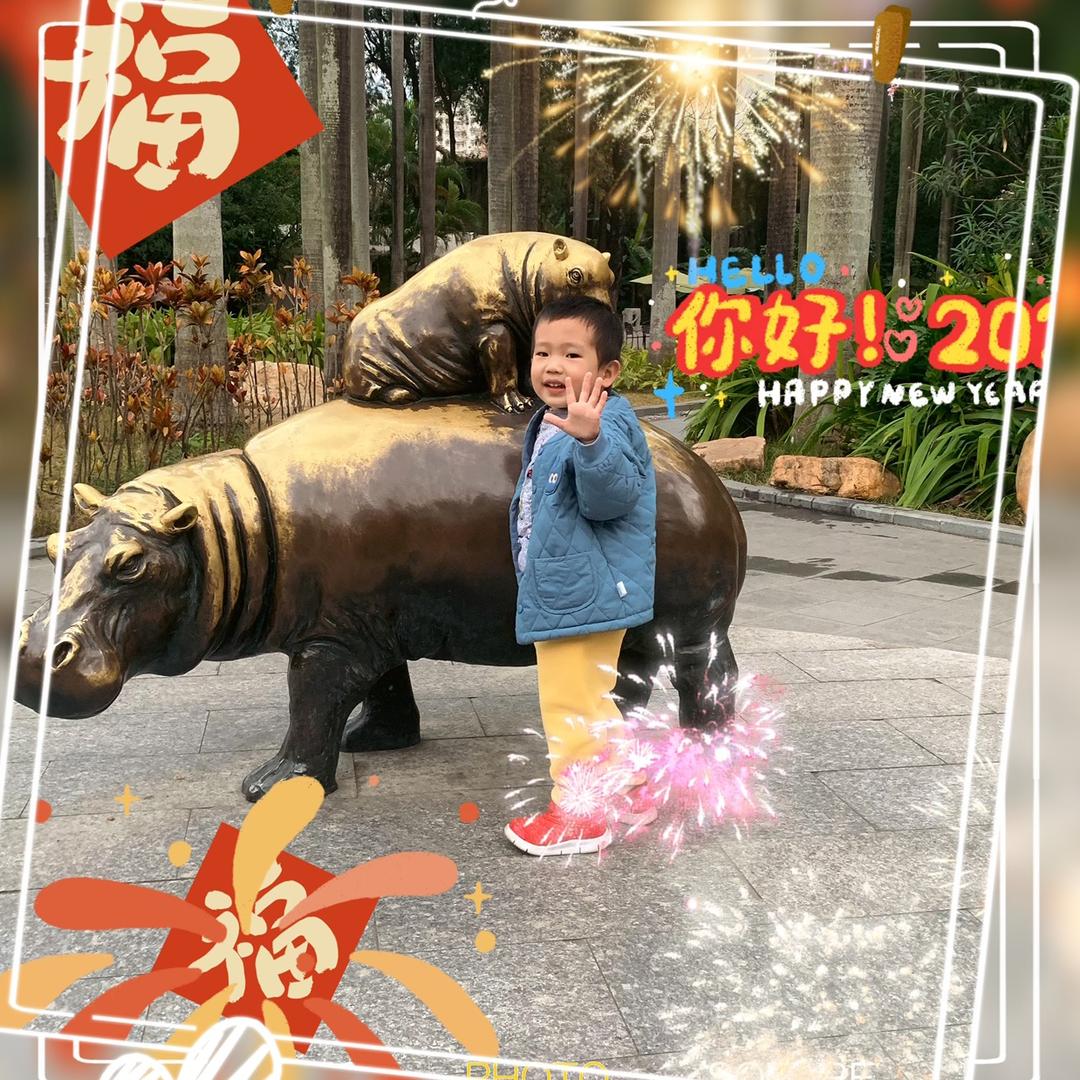 乐乐