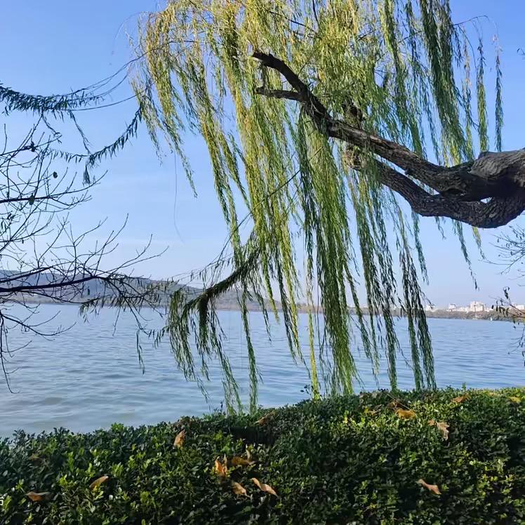 最好的体面就是不打扰