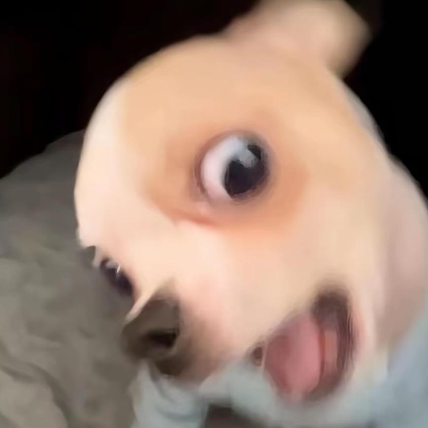 什么