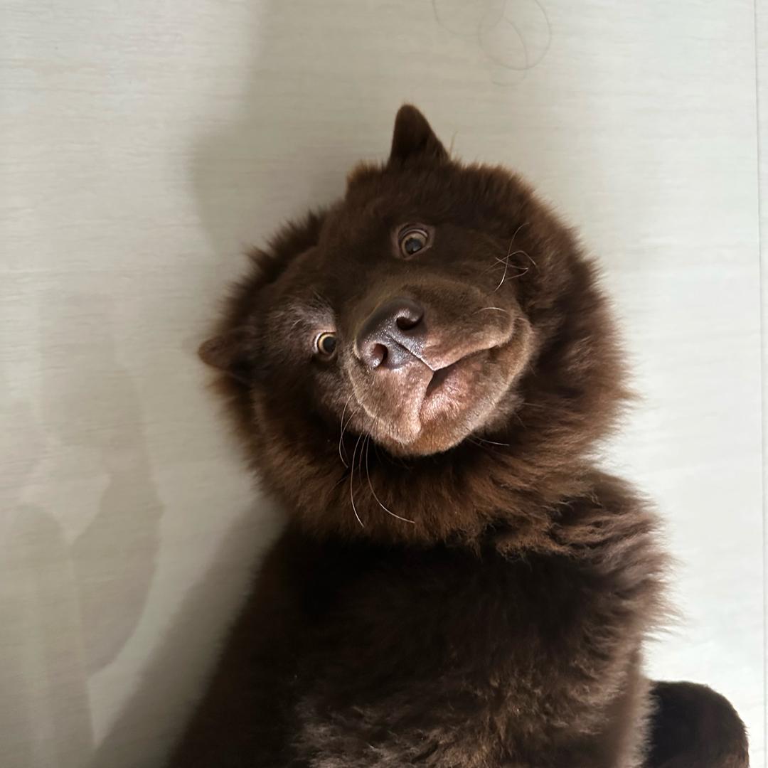 我重生之湖北天门做快餐