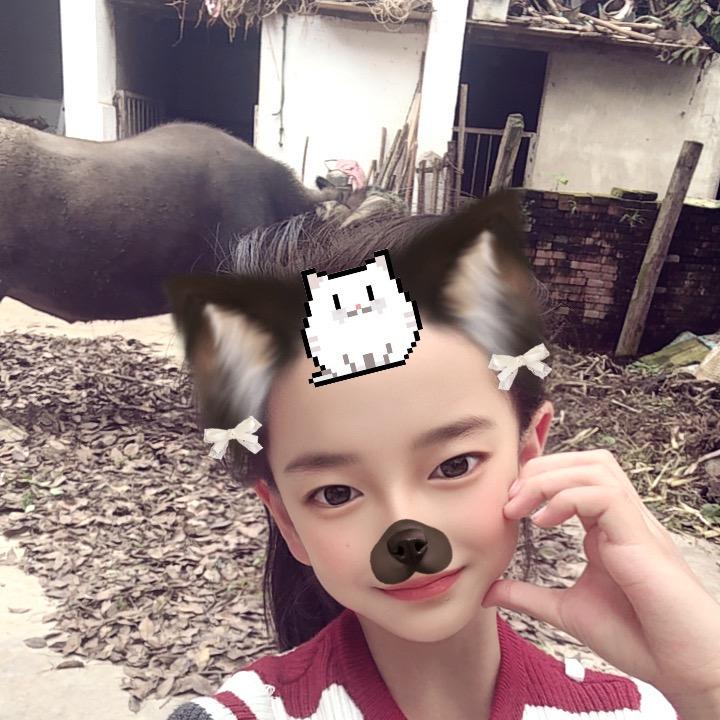 温柔小仙女❤️