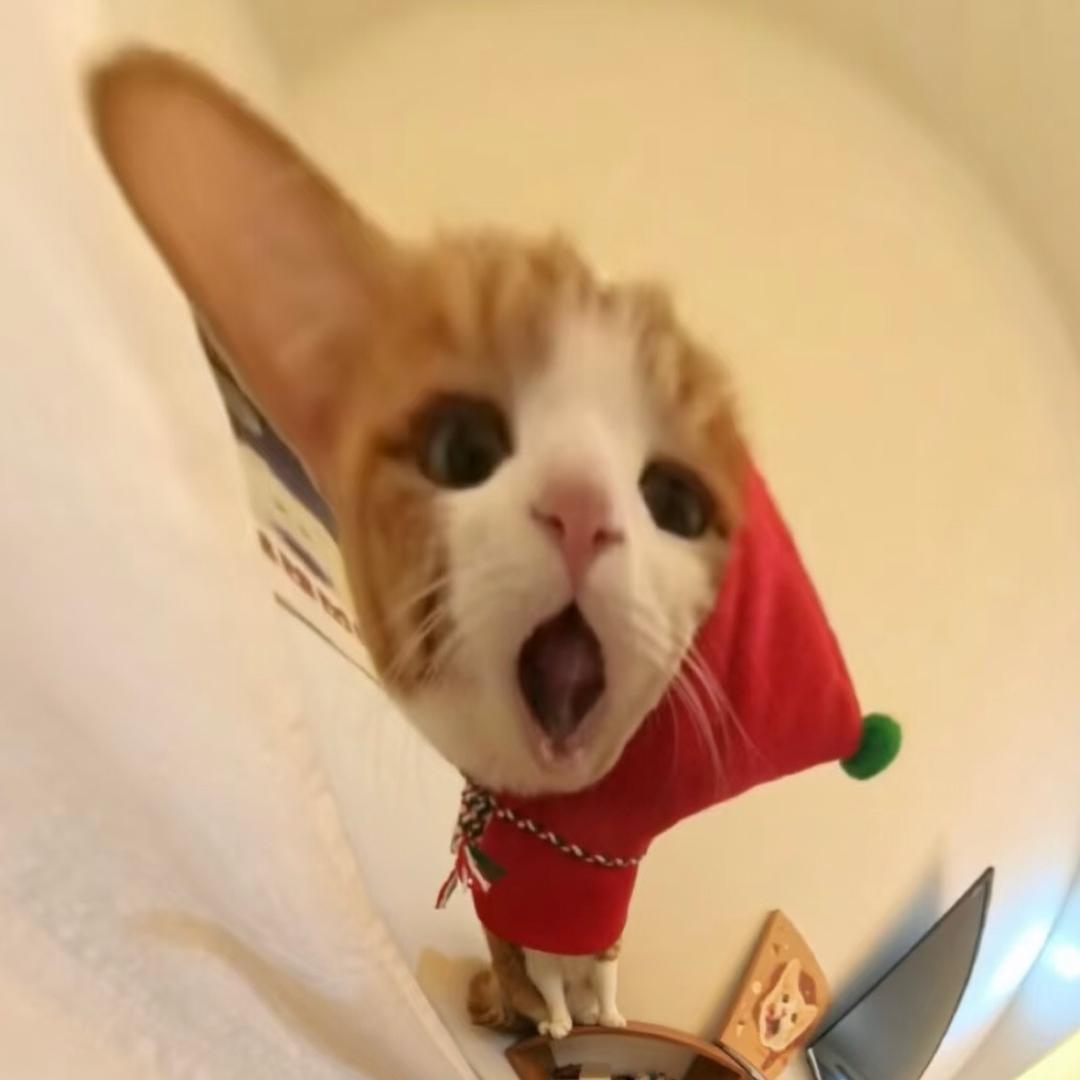椰啵京