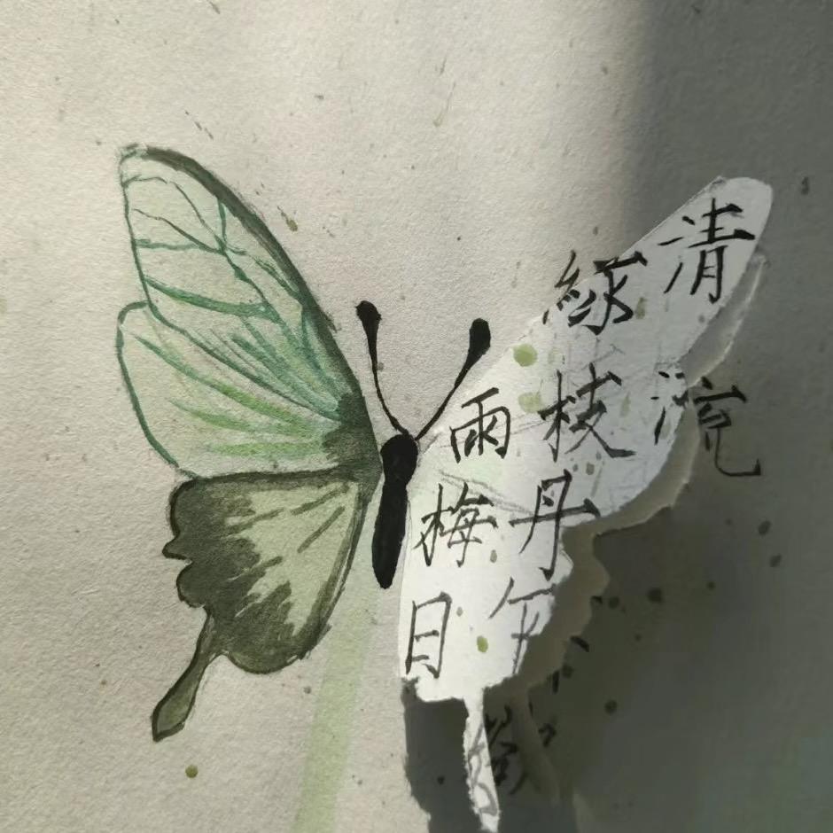 苏塘佳色