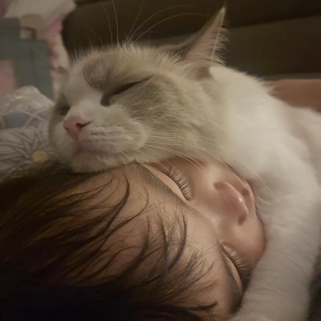 汉娜与招财