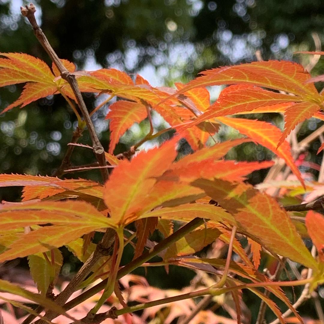 无奈之下的感觉