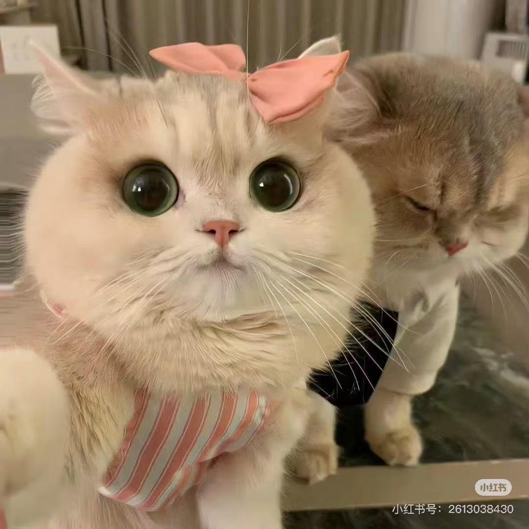 Wwwwwuuuu