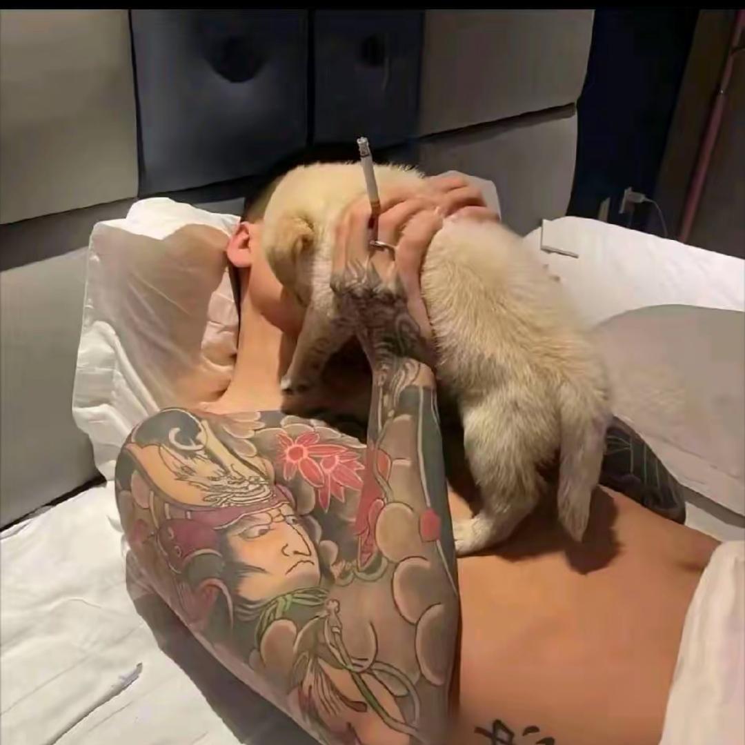 瘦死的骆驼