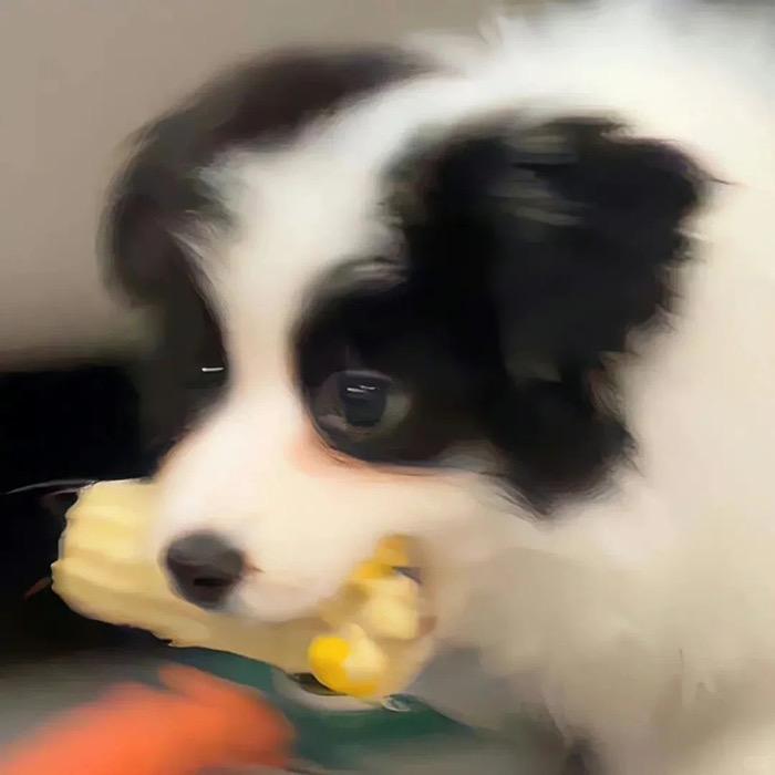 麻辣番茄锅