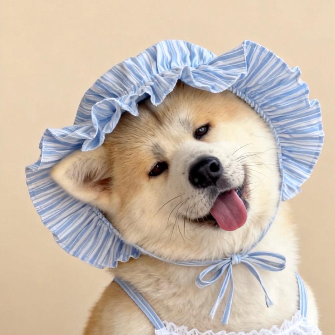 😝秋天又菜又爱玩😝