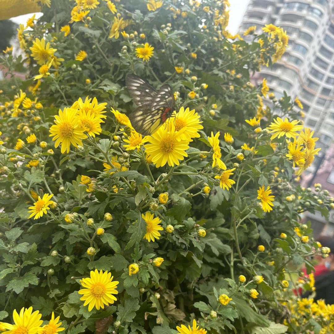 百货好物推荐