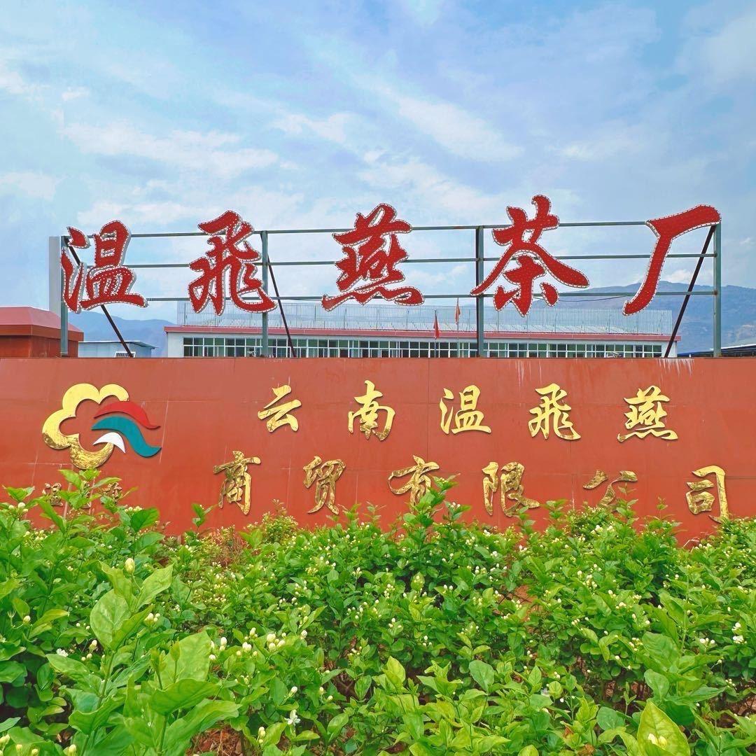 温飛燕茶厂