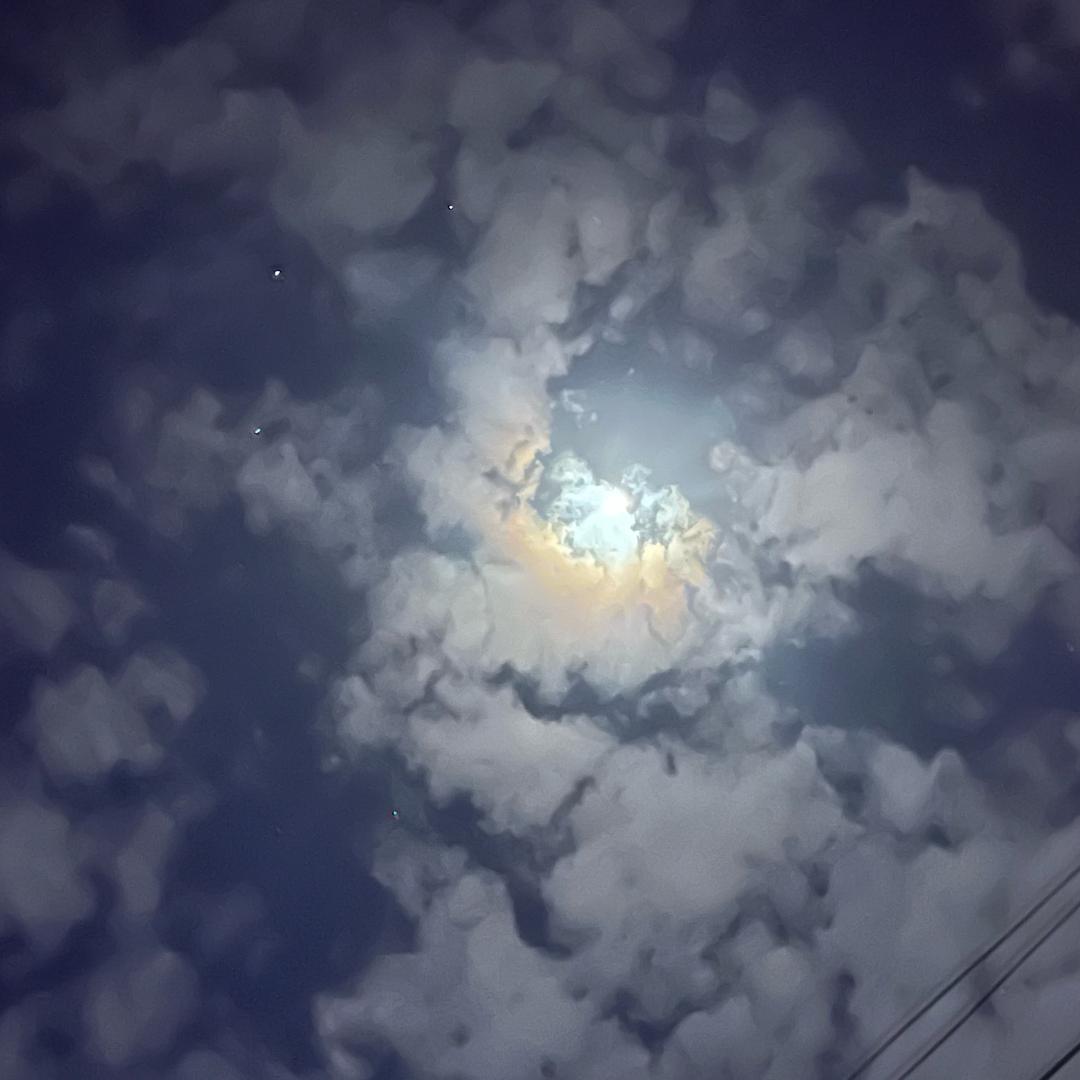 爆炒田鼠🐭