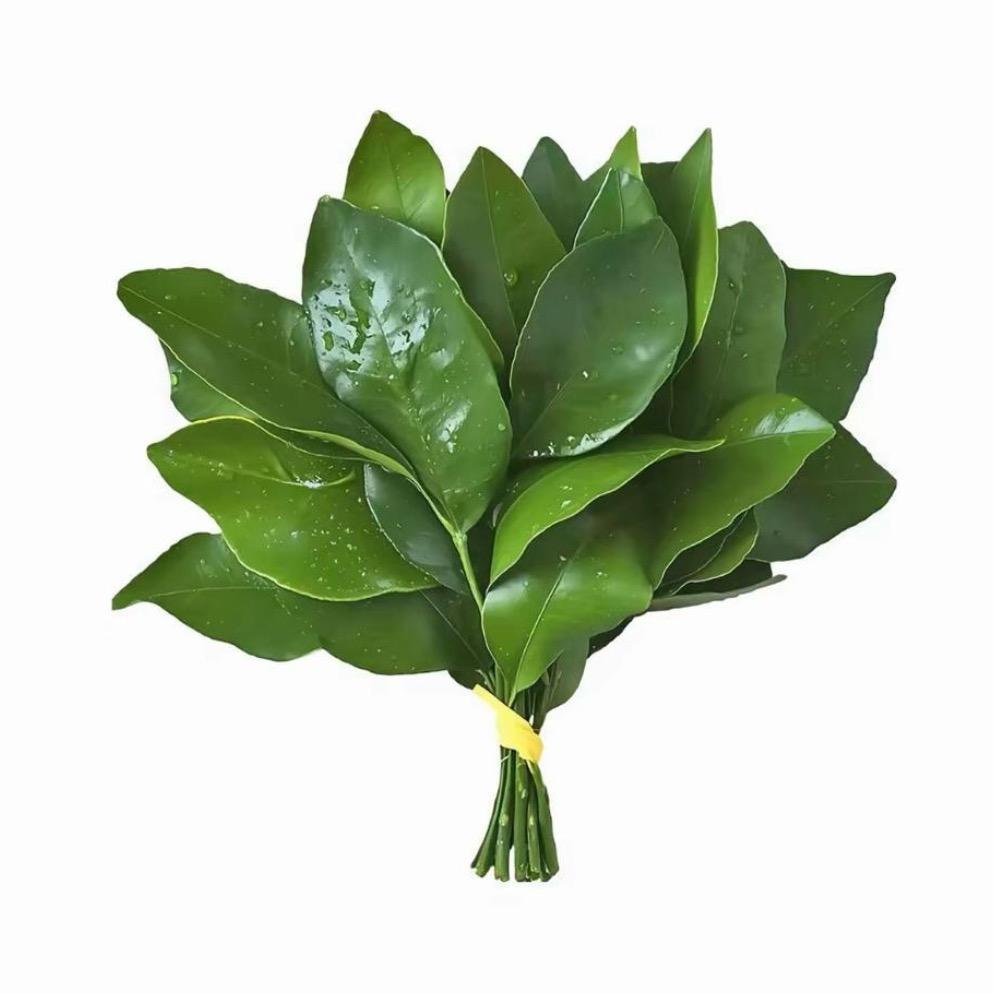 佳琪的朋友圈