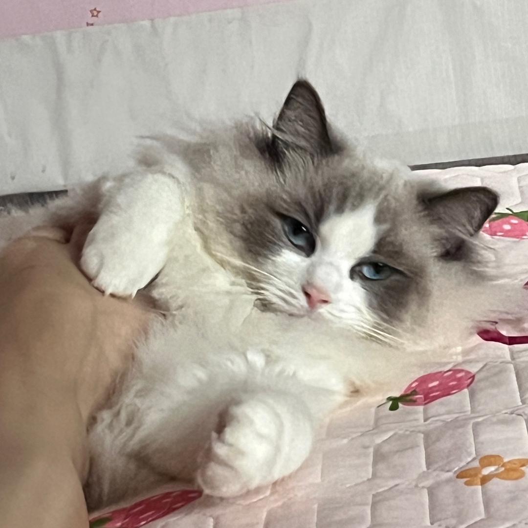 臭宝大王-.-