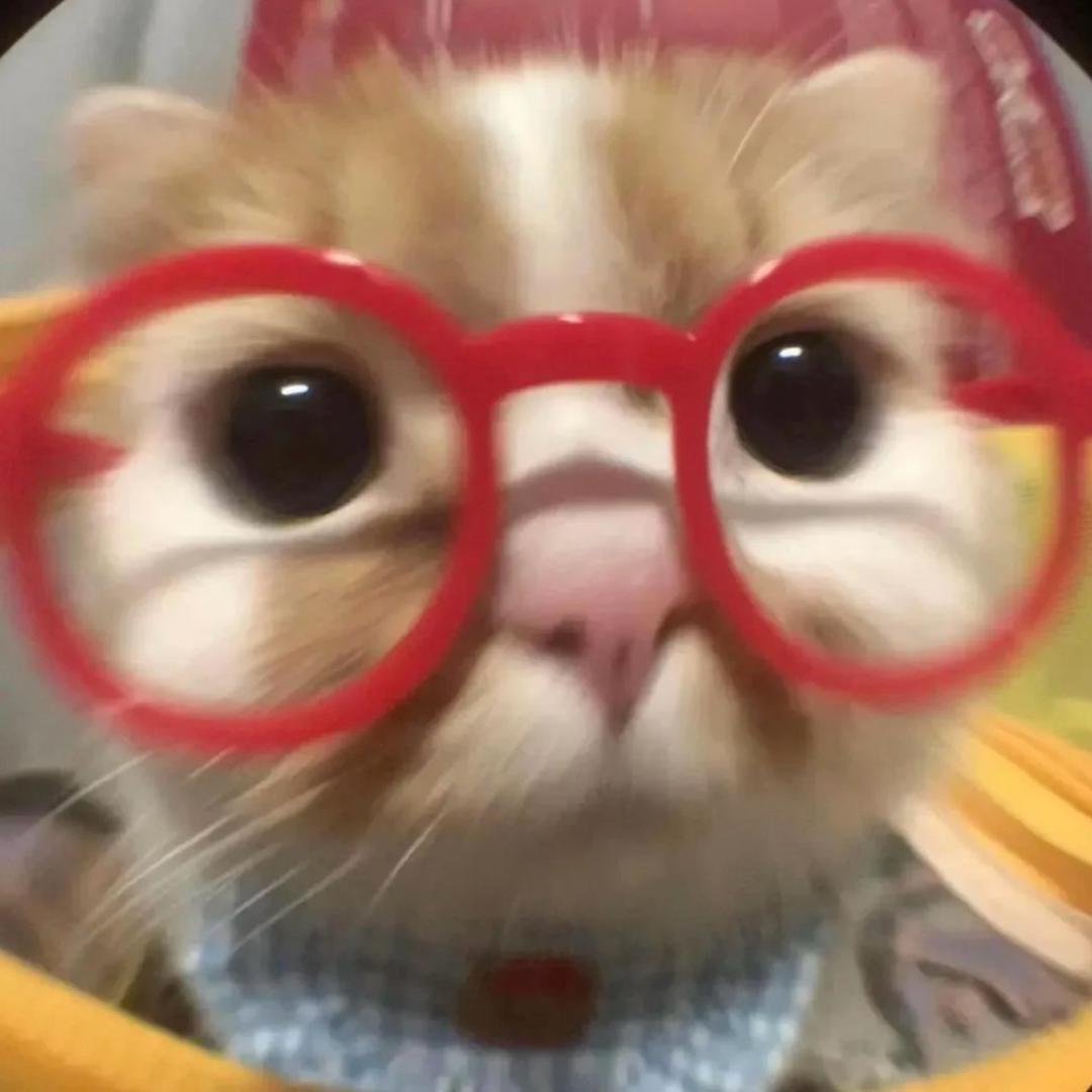 四圆