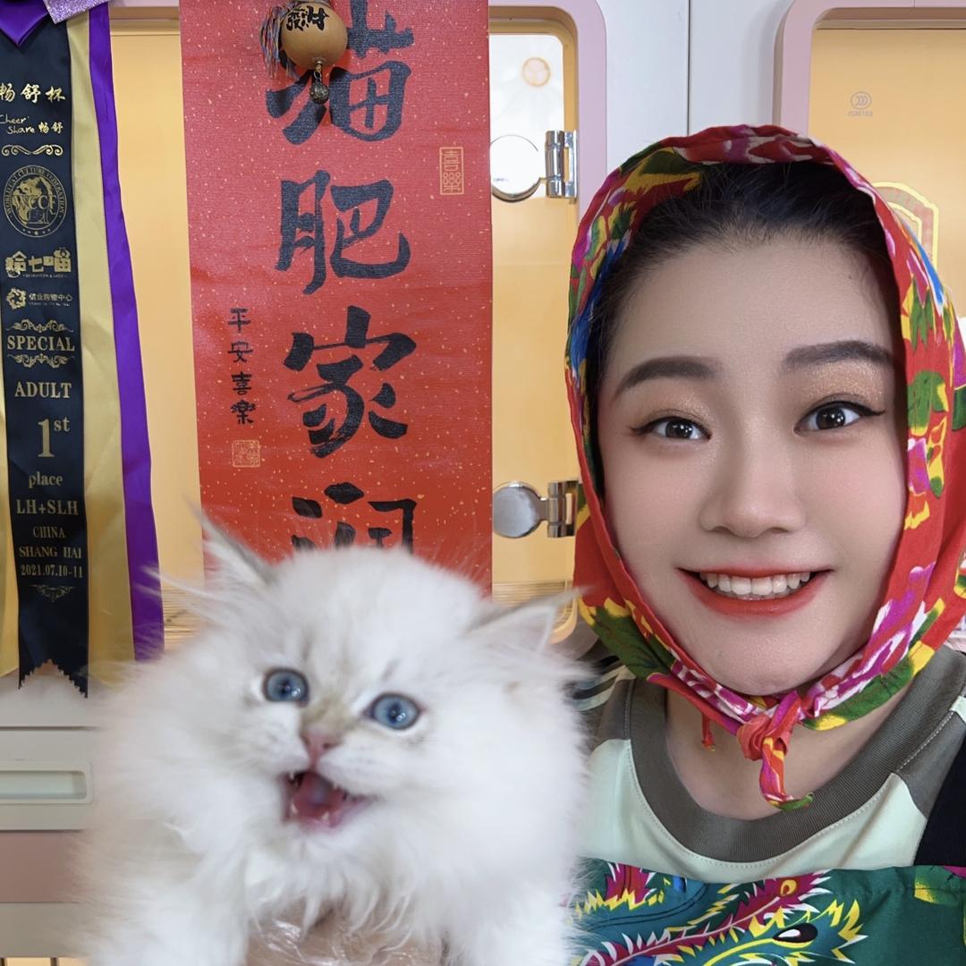 宠都汇-大玲姐🐱