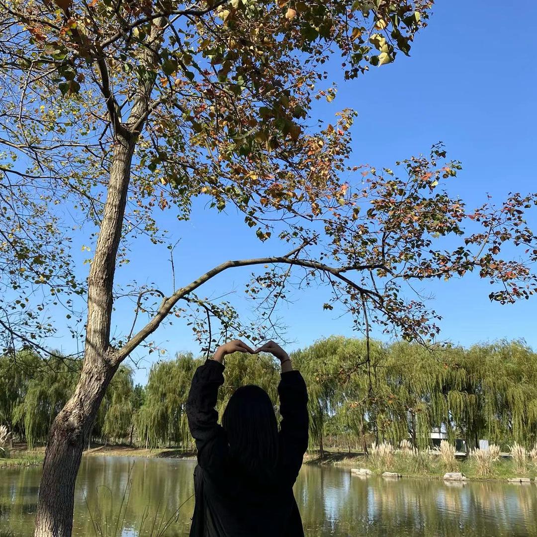 我的唯一