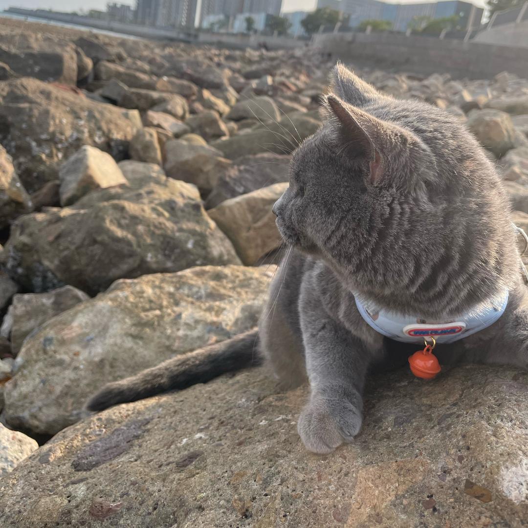 快乐小咪👼🏻