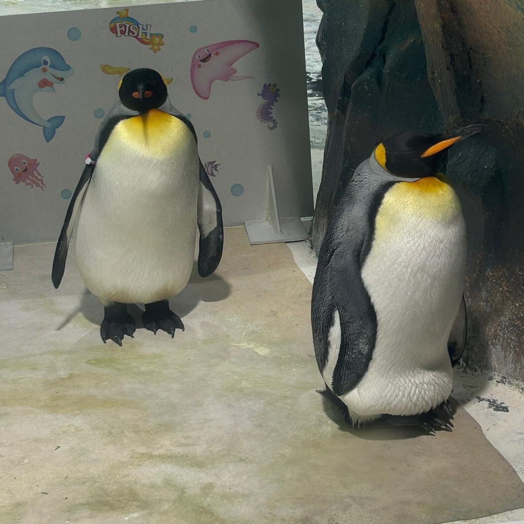 沉默是金131040050