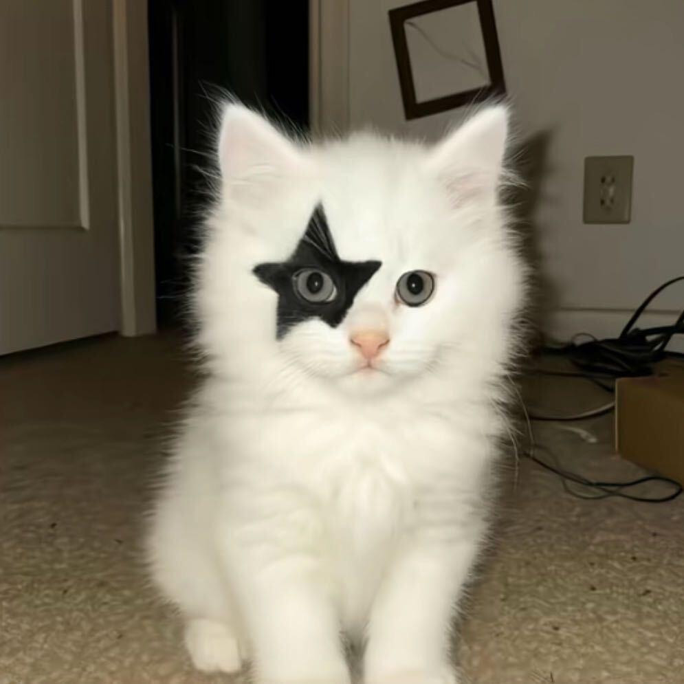 柚子^O^