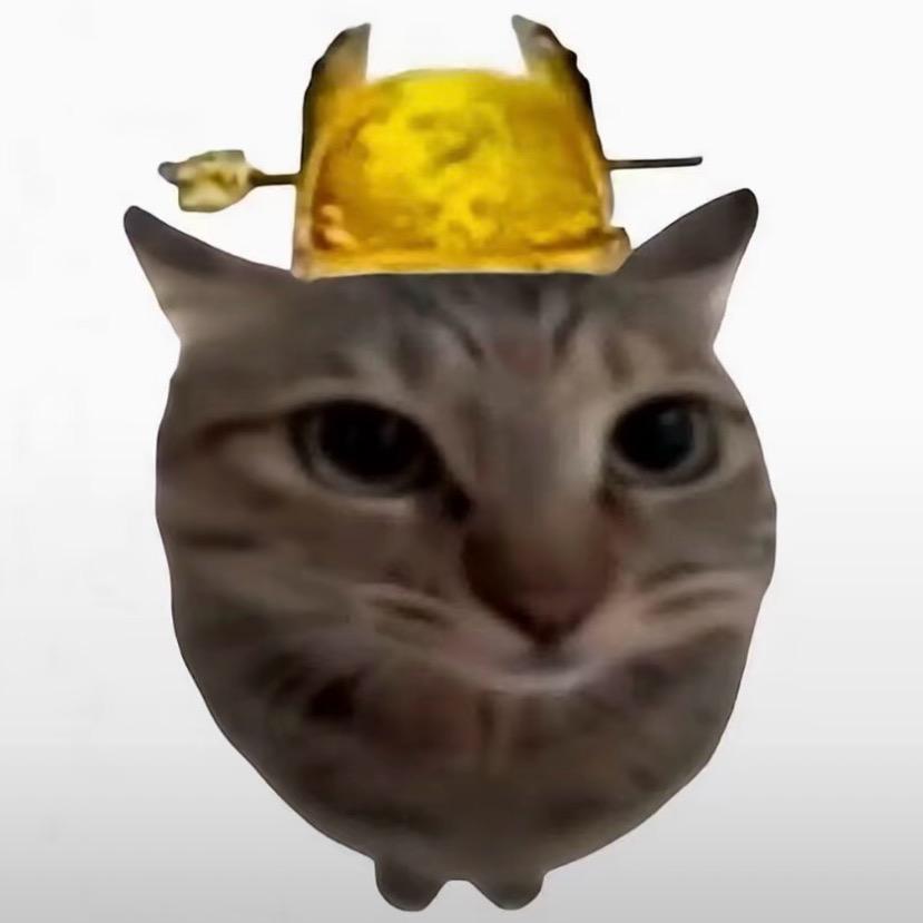 Rr