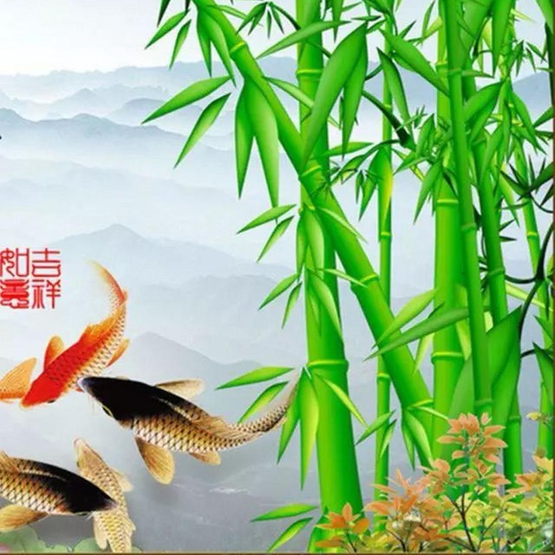 所有的美好都在路上🤗