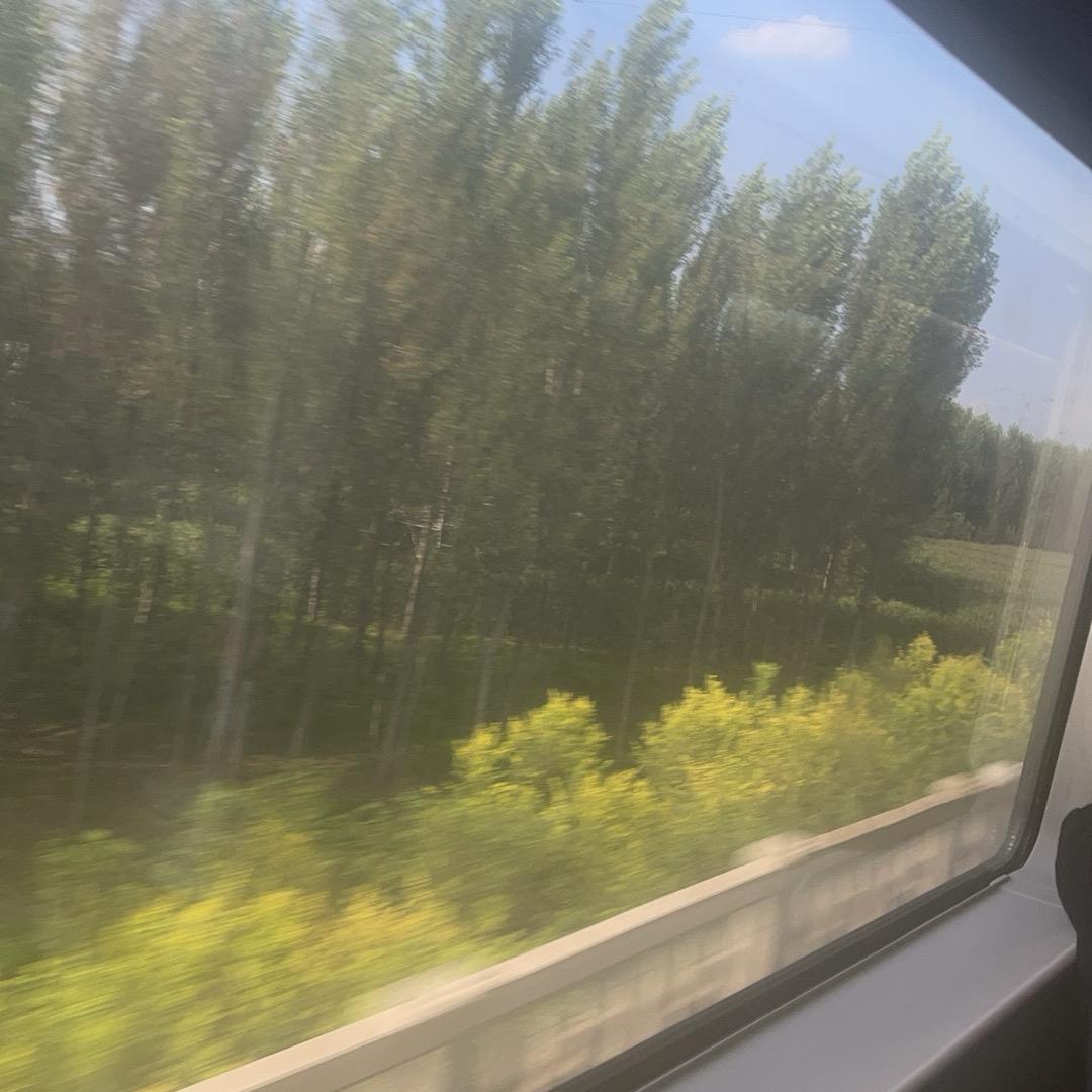 重生（胰肾联合移植术后恢复中）