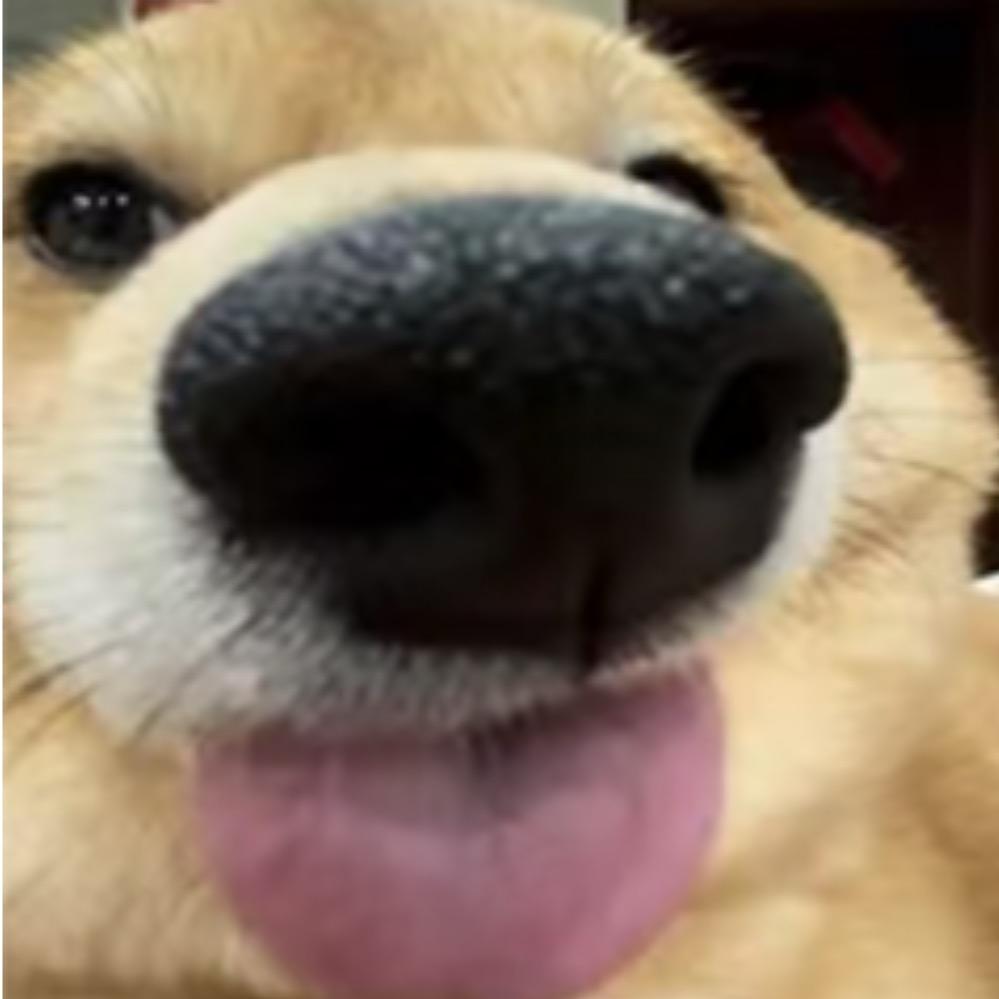 你啥意思