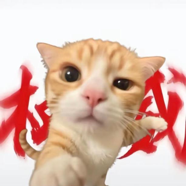 徐果冻（三角洲撞车）