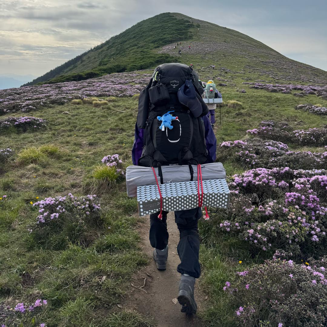 疯狂的麦克斯、🧗‍♀️🏊‍♂️