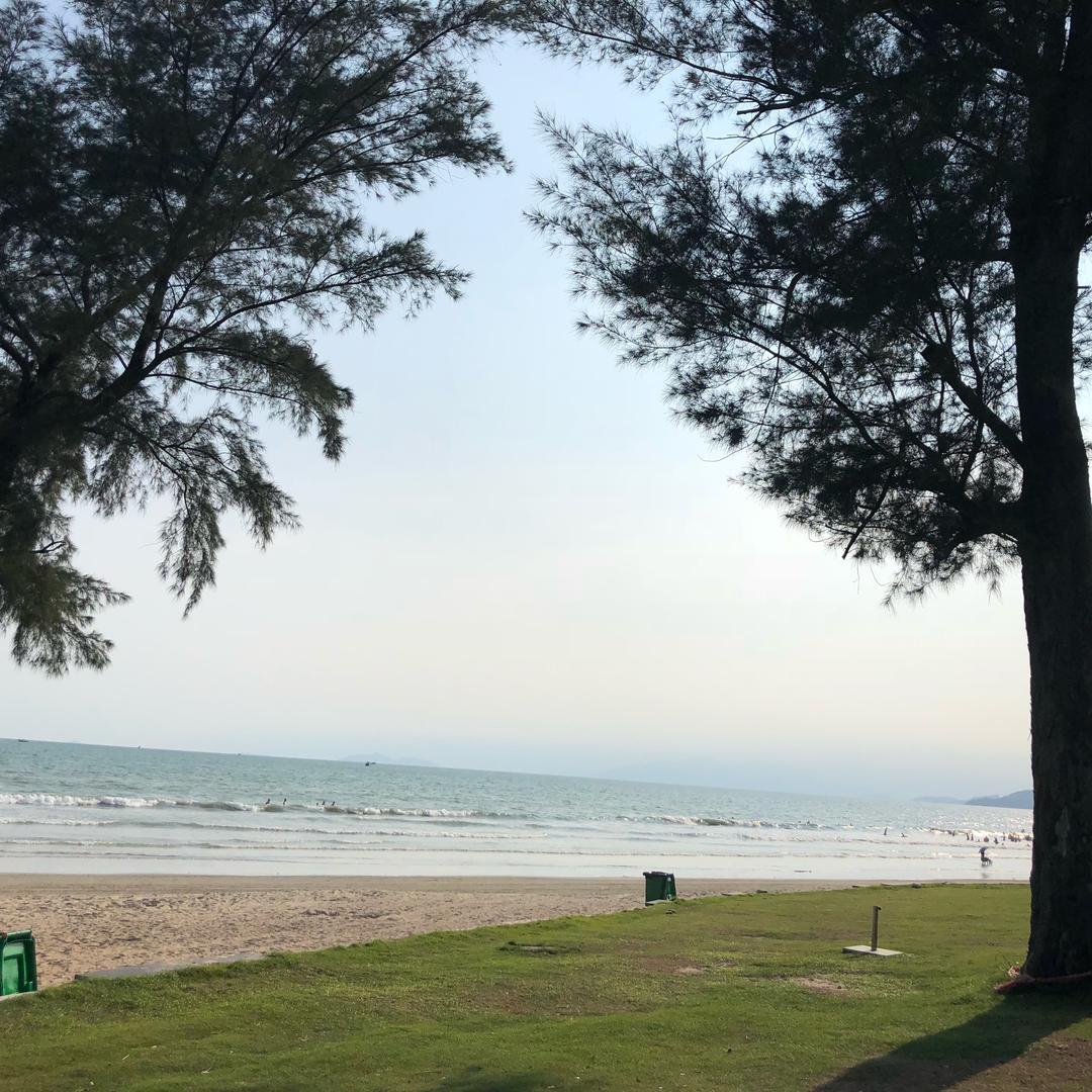 谭笑风云🎉🎉🎉