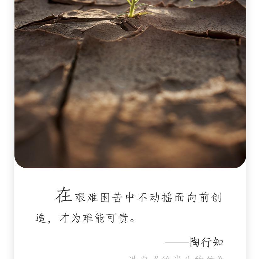 体验而已😅